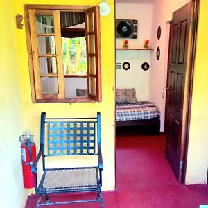 Double or Twin Room Mountain View